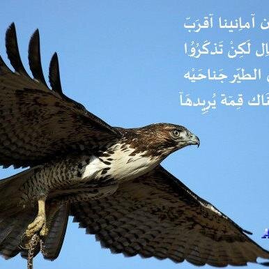 تفاءلوا بالخير تجدوه