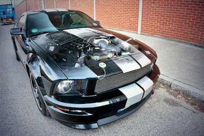 lfrd4503's profile picture. 