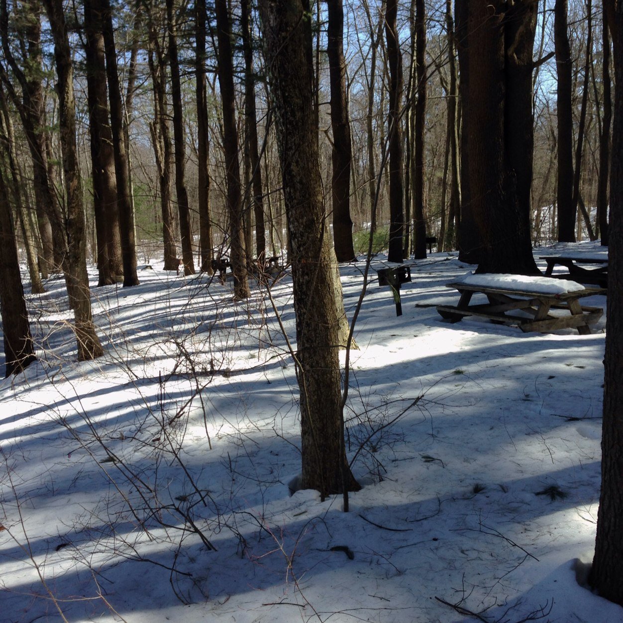 hack_terrence's profile picture. 