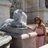Lidia_pellicer's profile image