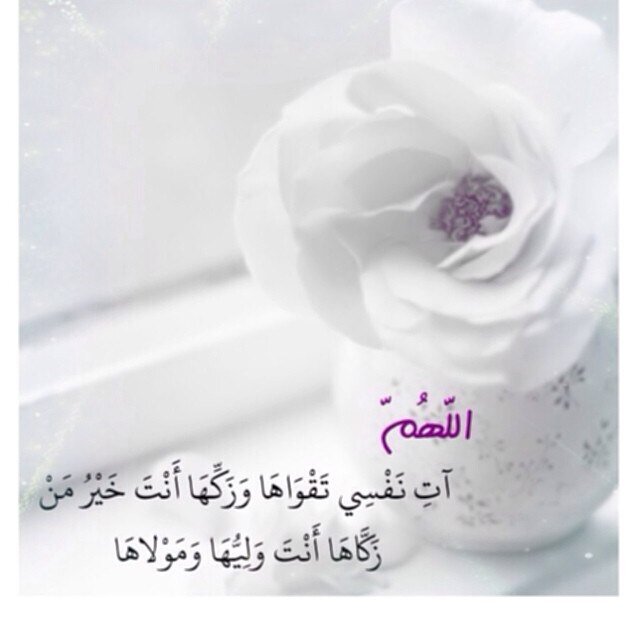 ksa11003 Profile Picture