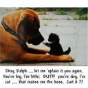 Jean Burnham - @jeanbee14 - Twitter