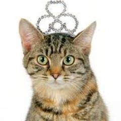 queentufftyxx's profile picture. Queen Tuffty xx shares her words of wisdom with her kittens