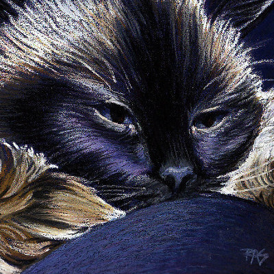 robertsloan2's profile picture. Author and artist, 55 years old, cat nut