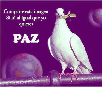 marivel669's profile picture. 