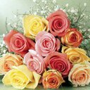 55722 (@055_722) Twitter