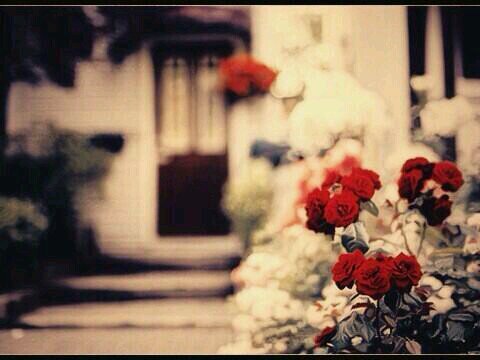 ‏‏آستغفرا آلله♡♥ لا اله الا الله محمد رسول الله @@@♥♡♥♡♡♥♥