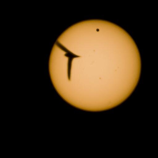 Bora_Egemen's profile picture. 