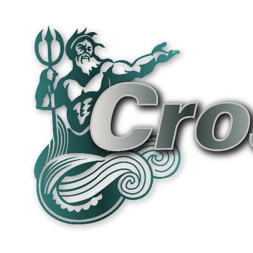 CrossFitWicklow's profile picture. TRAINING FROM BEGINNER TO ATHLETE