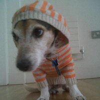 Jo Sheldon (@josheldon26) Twitter profile photo