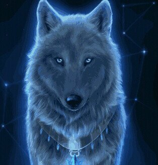 undertaker_2970's profile picture. 