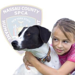 Serving to protect animals from cruel & inhumane treatment and put an end to animal suffering through education, community involvement, and enforcement