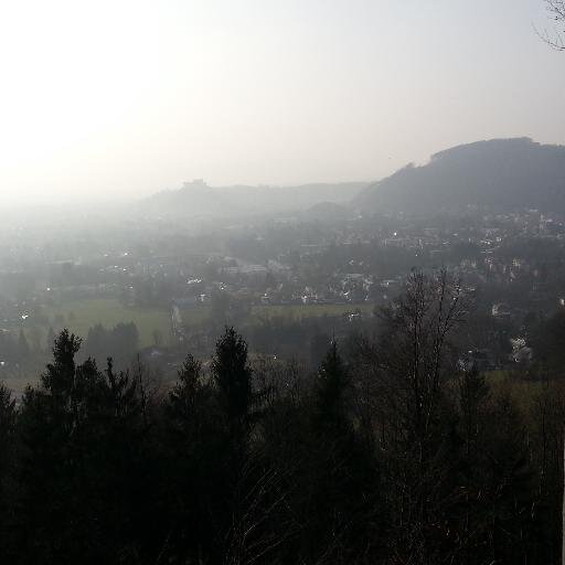 gaisbergwurzel's profile picture. Mining Team Austria