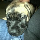 Devon durant - @devondurant - Twitter