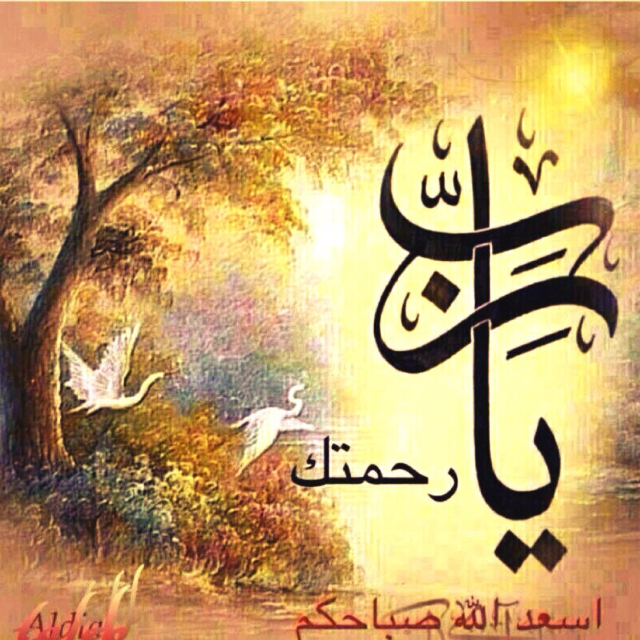 almrshdee1's profile picture. 