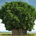 eric chouinard - @Ericchoui - Twitter