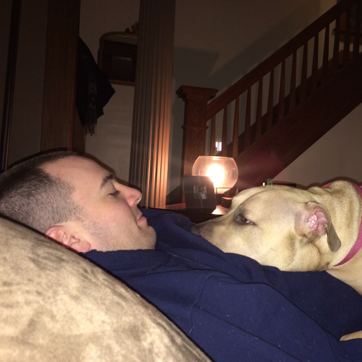 andyiannotti's profile picture. 