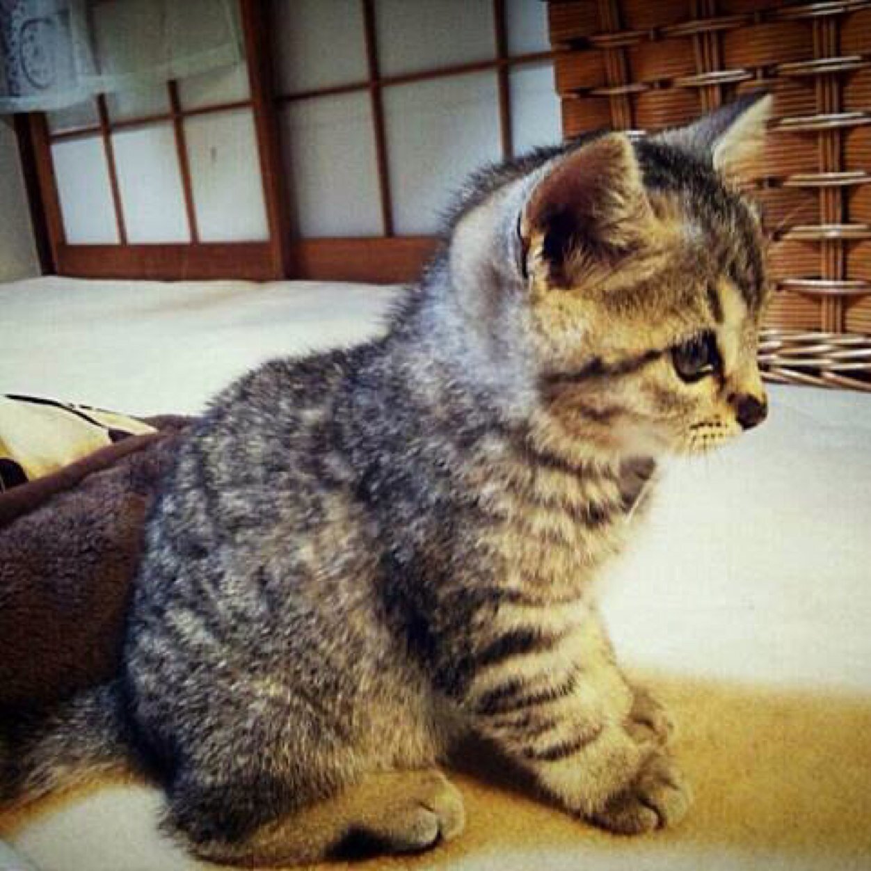 y0o6g1a3's profile picture. 