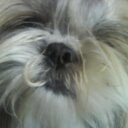 martha alcala - @marthaalcalal - Twitter