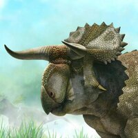 Jonathan Anderson (@lankeejla) 's Twitter Profile Photo