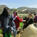 Hazel Grimes Riggs - @asejohazelann - Twitter