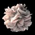 Dendritic cells (@dcell_papers) Twitter profile photo Dendritic cells (@dcell_papers) Twitter profile photo