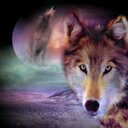 Samara Manning - @ManningSamara - Twitter