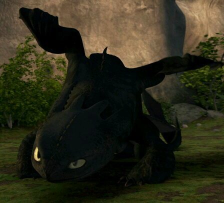 i'm Toothless i am a Night fury #Taken: @NightfuryTammy #rp #HTTYD