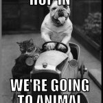 Animal Pantry Animalpantryozp Twitter