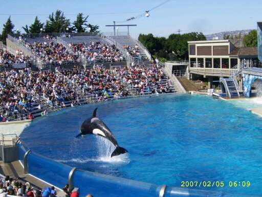 su8631's profile picture. 언제나 행복하고 건강하세요!!!