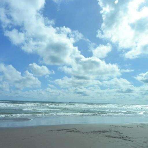 grieyan's profile picture. ...