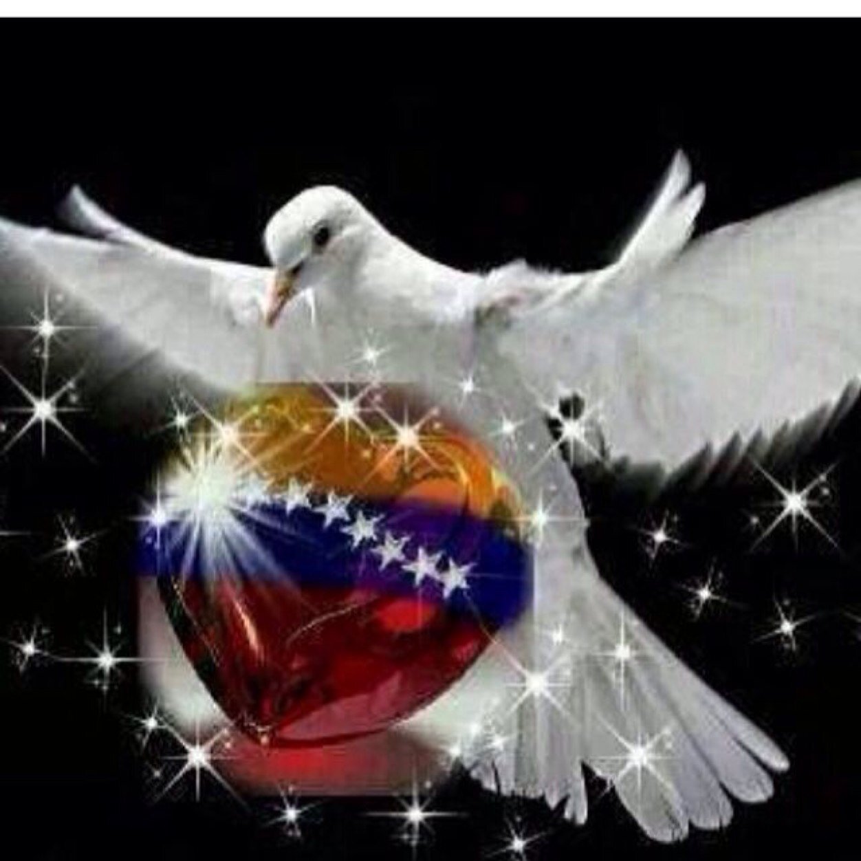 BeaBaraz's profile picture. 