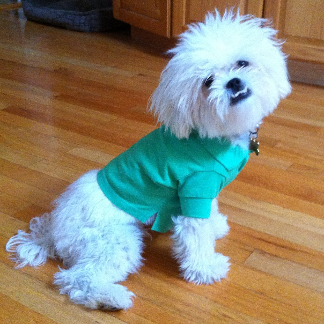 jennie_berglin's profile picture. 