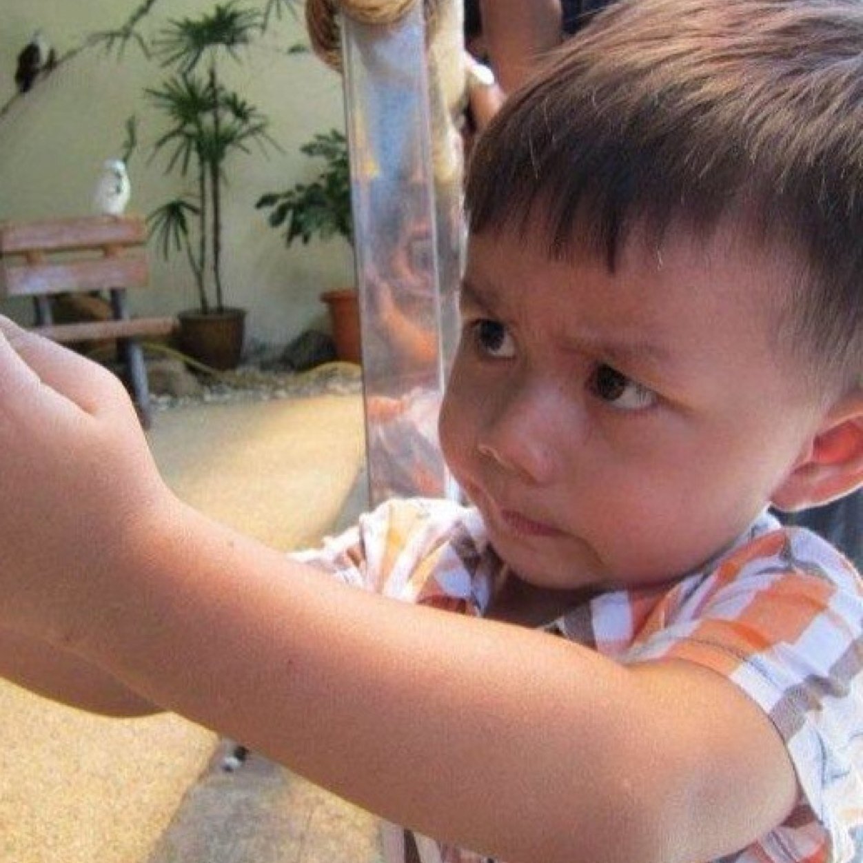 zazsolorider's profile picture. 