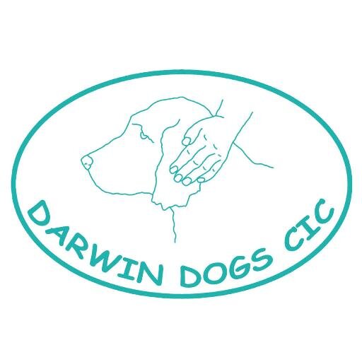 We train dogs for people with mental health issues or adults on the autistic spectrum