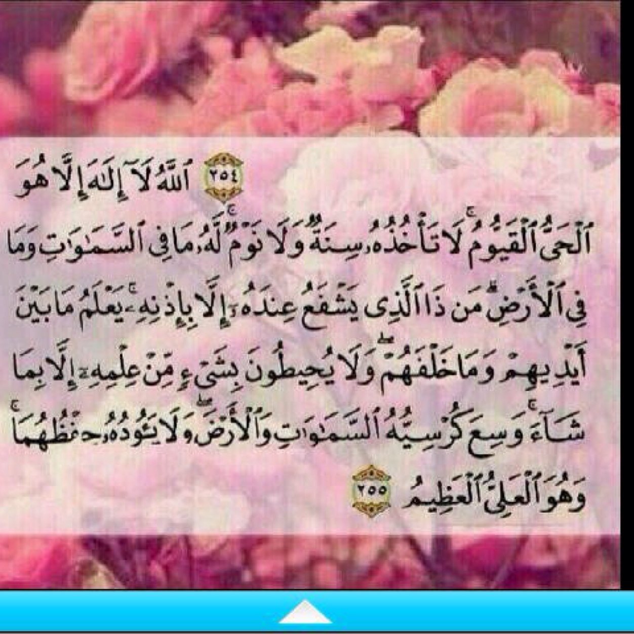 fnmtere's profile picture. اللهــــم .. اجعل قبره روضة من رياض الجنة ، و لا تجعله حفرة من حفر النار