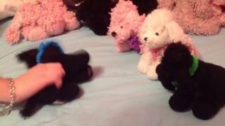 AttridgePaula's profile picture. 