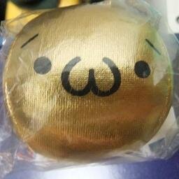 TUS-IS院卒(14)/情報セキュリティスペシャリスト/サーモンランNW野良連戦無し全ステノーミス(発8砦5闘4筋2時2船1ダ1BBR1GBA1海女美1/26回)