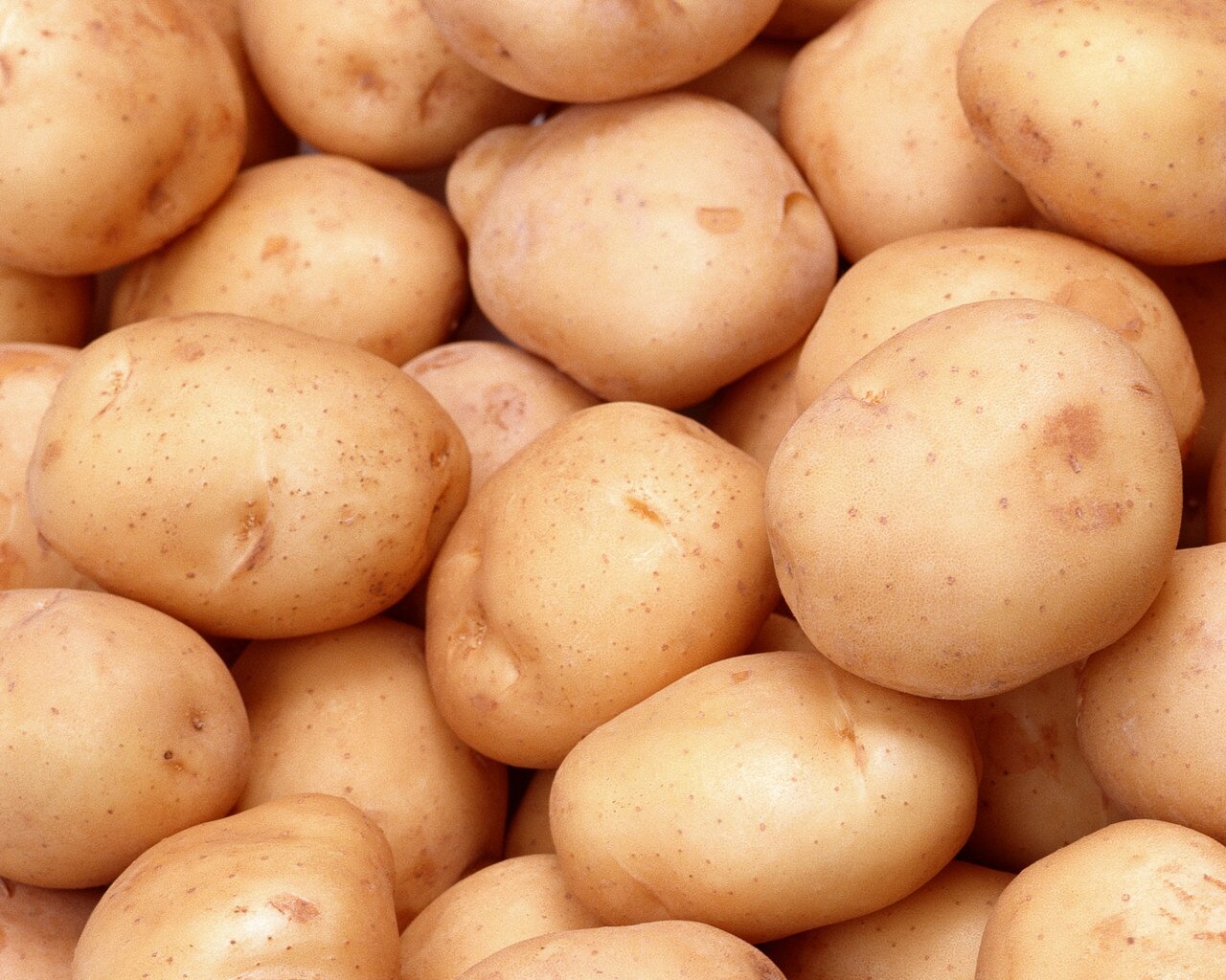 PowerlessPotato's profile picture. 