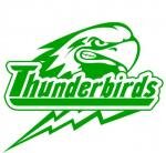 Thunderbird Baseball