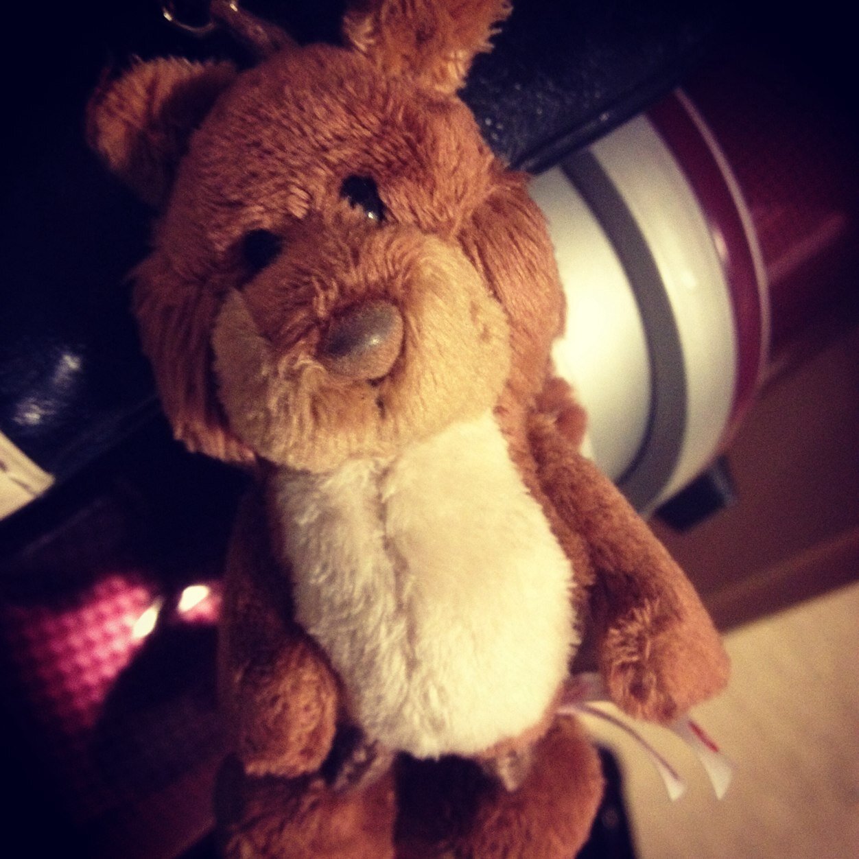 chataro_jurist's profile picture. Es ist kein Bär, es ist ein Eichhörnchen.