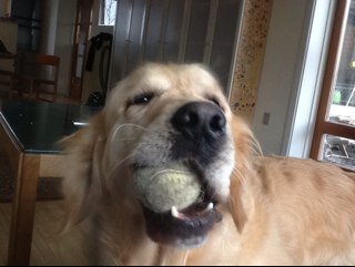 JakobhM2's profile picture. Gamer, football & european football lover,sport fanatic,marathon-runner.