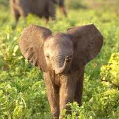 pascal30's profile picture. 