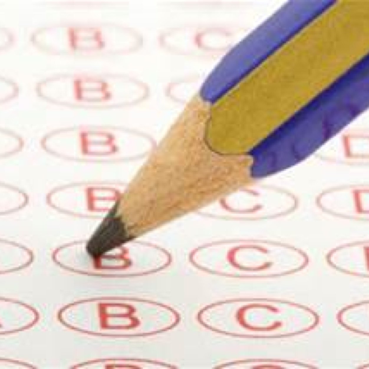 NotSATQuestions's profile picture. 