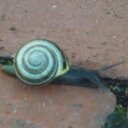 Ellen Bryan - @EllenKBryan - Twitter