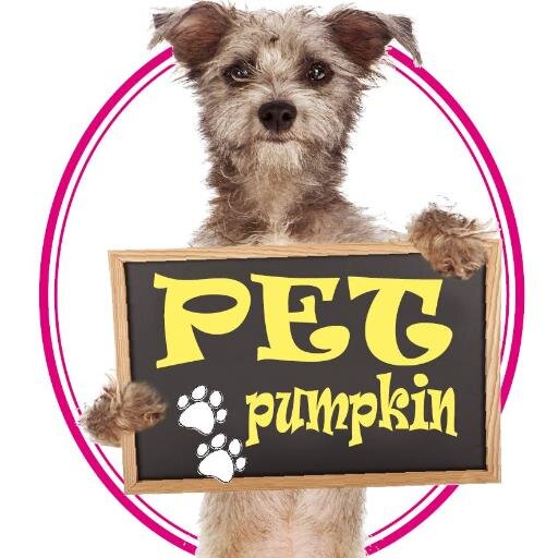 The cutest animals around! 
Send us pictures of your cute animals at:
pumpkinpet.pictures@gmail.com