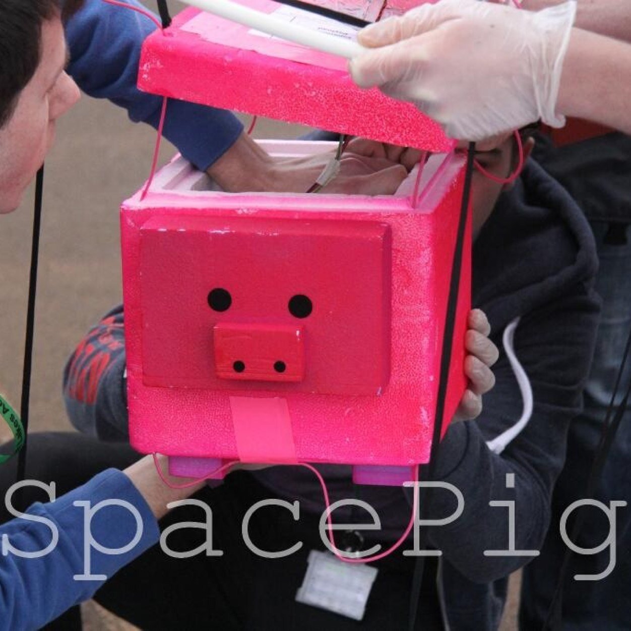 ProjectSpaceEye's profile picture. 