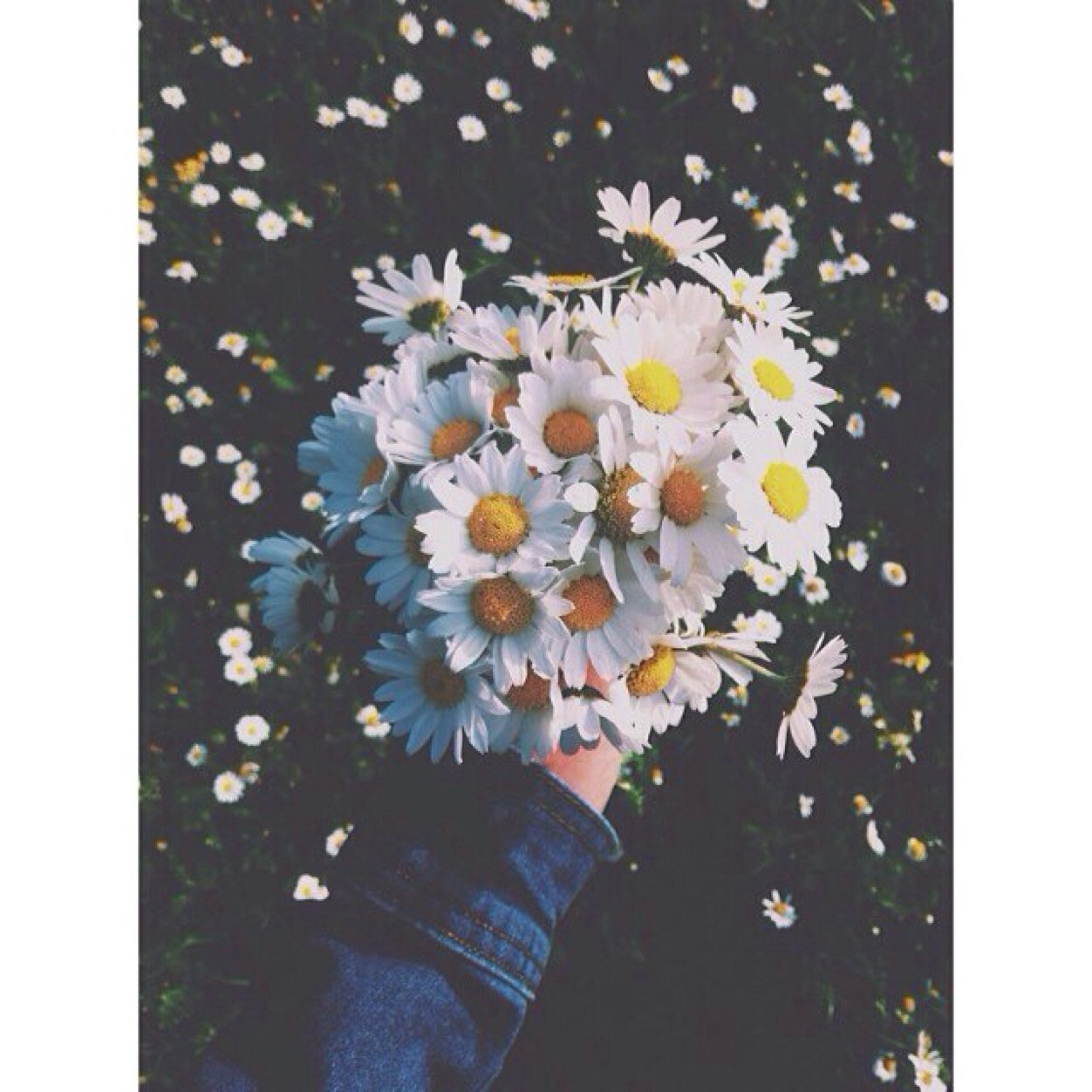♡Free follow just because you're beautiful♡ no need to follow me or anyone just have a nice day and remember you are loved