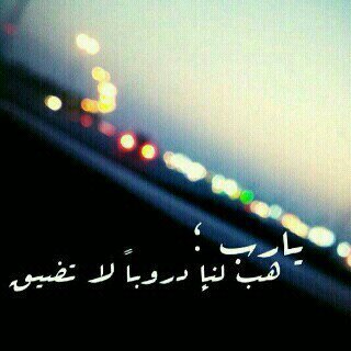 ffddgg1231's profile picture. ٍ