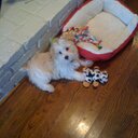 John Plotts - @PAhunter3b - Twitter